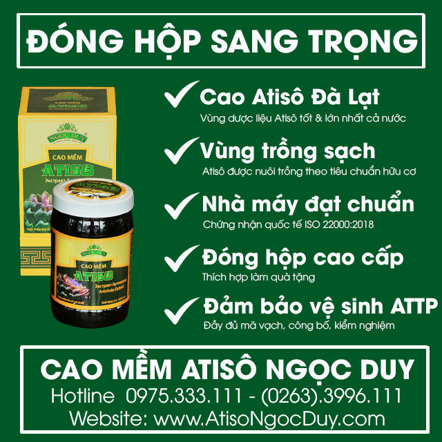 Cao Atiso hộp cao cấp thượng hạng